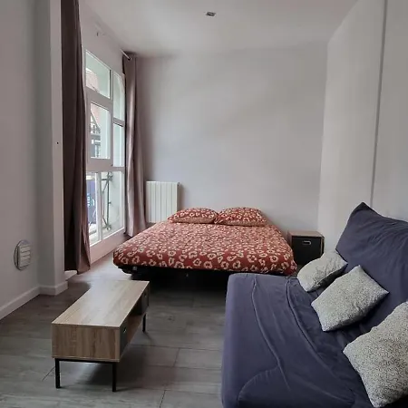 Flat At The Gate Of Petite France Appartamento Strasburgo