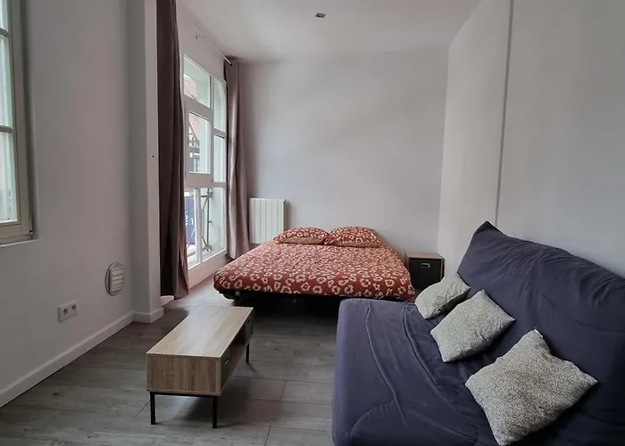 Flat At The Gate Of Petite France شقة ستراسبورغ